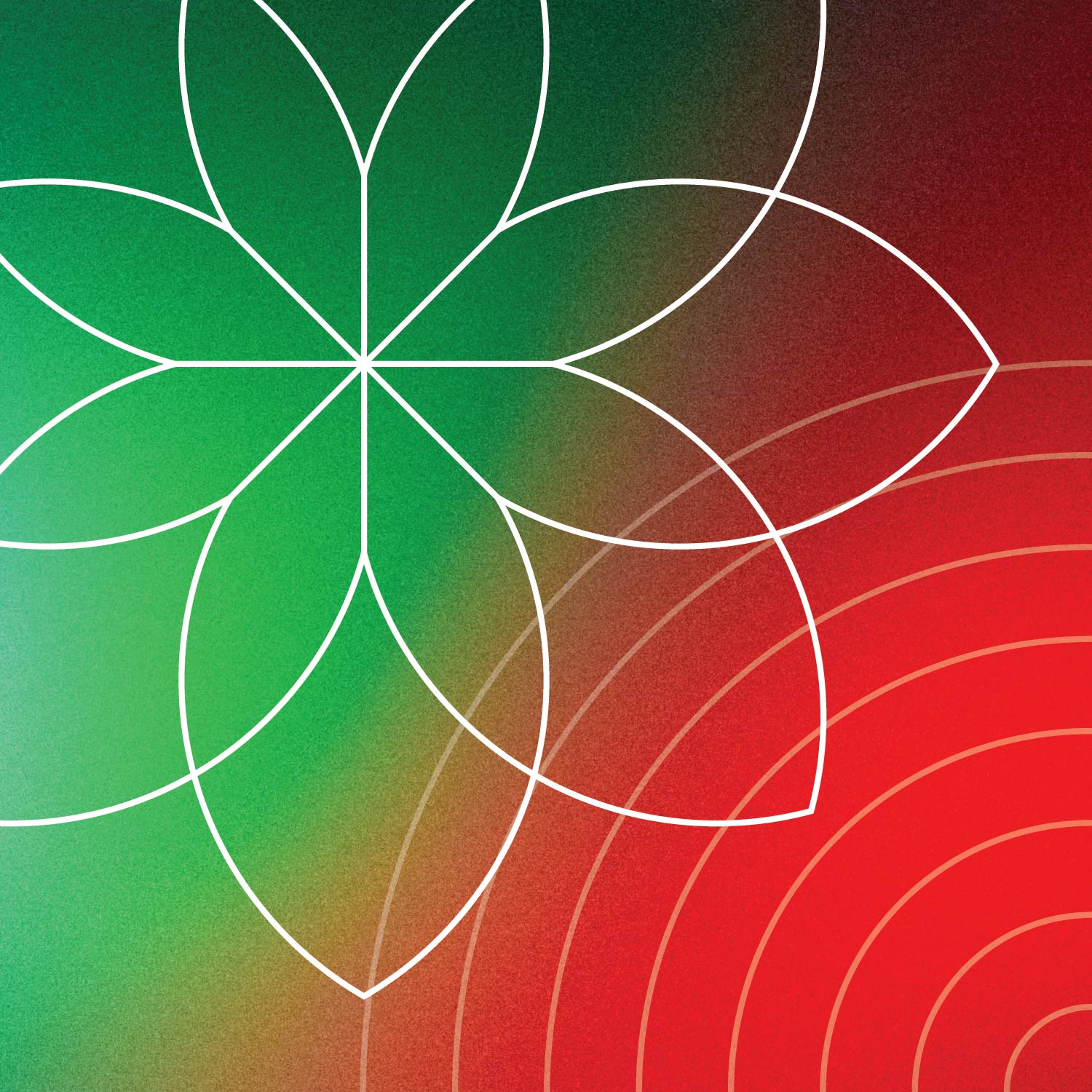 Abstract illustration of a flower and circular pattern