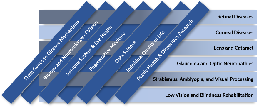 NEI Strategic Plan Areas of Emphasis