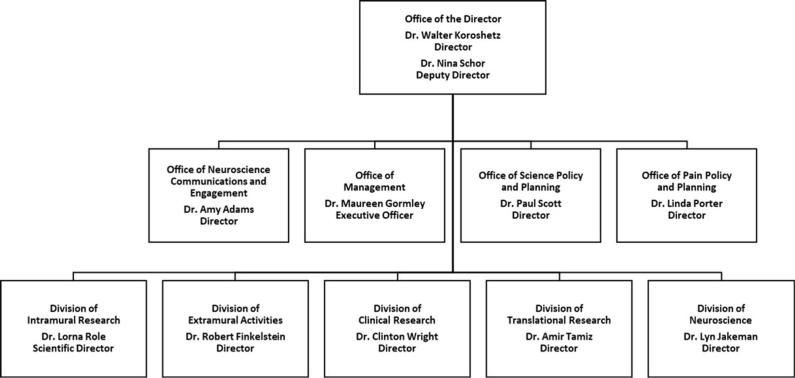 NINDS 2021 org chart