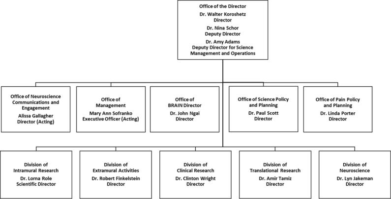 NINDS Organizational Chart