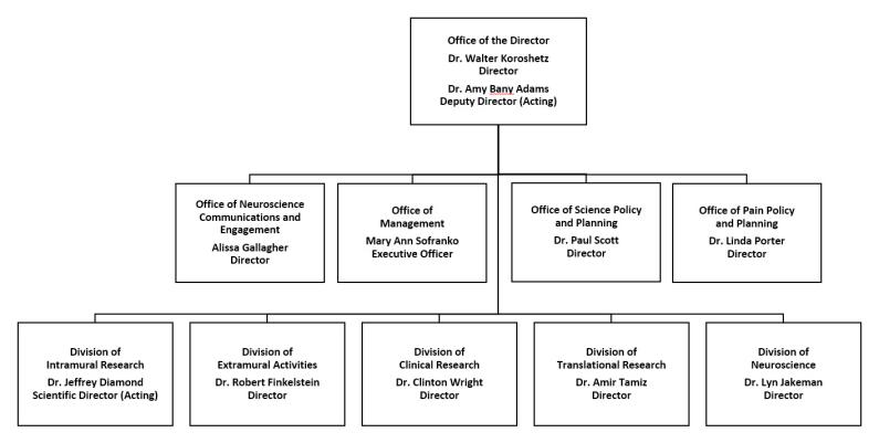 NINDS Organization Chart
