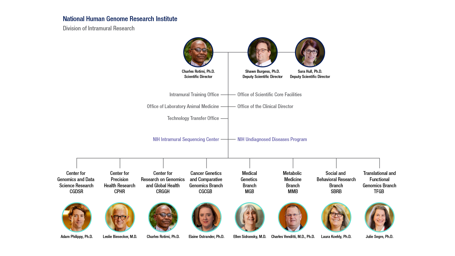 NHGRI Division of Intramural Research organization