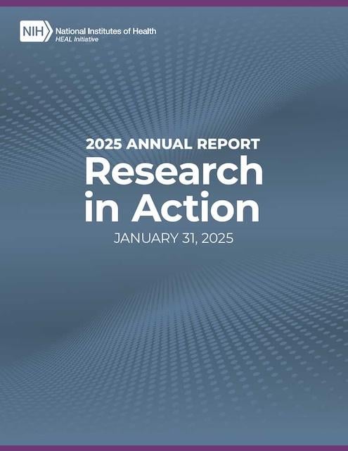 2025 Annual Report: Research in Action