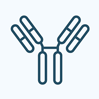 Antibody icon