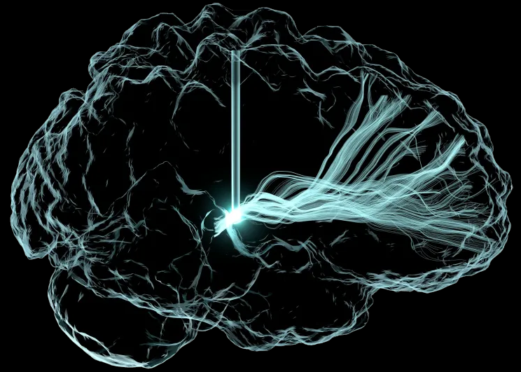 The Brain Research Through Advancing Neurotechnologies (BRAIN) Initiative