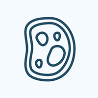 cytoplasm icon