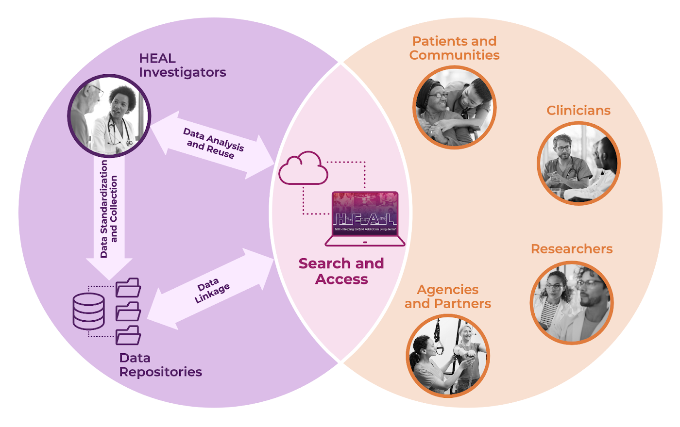 The HEAL Data Ecosystem Collective Board provides input on Ecosystem activities. Read more about the Collective Board here.