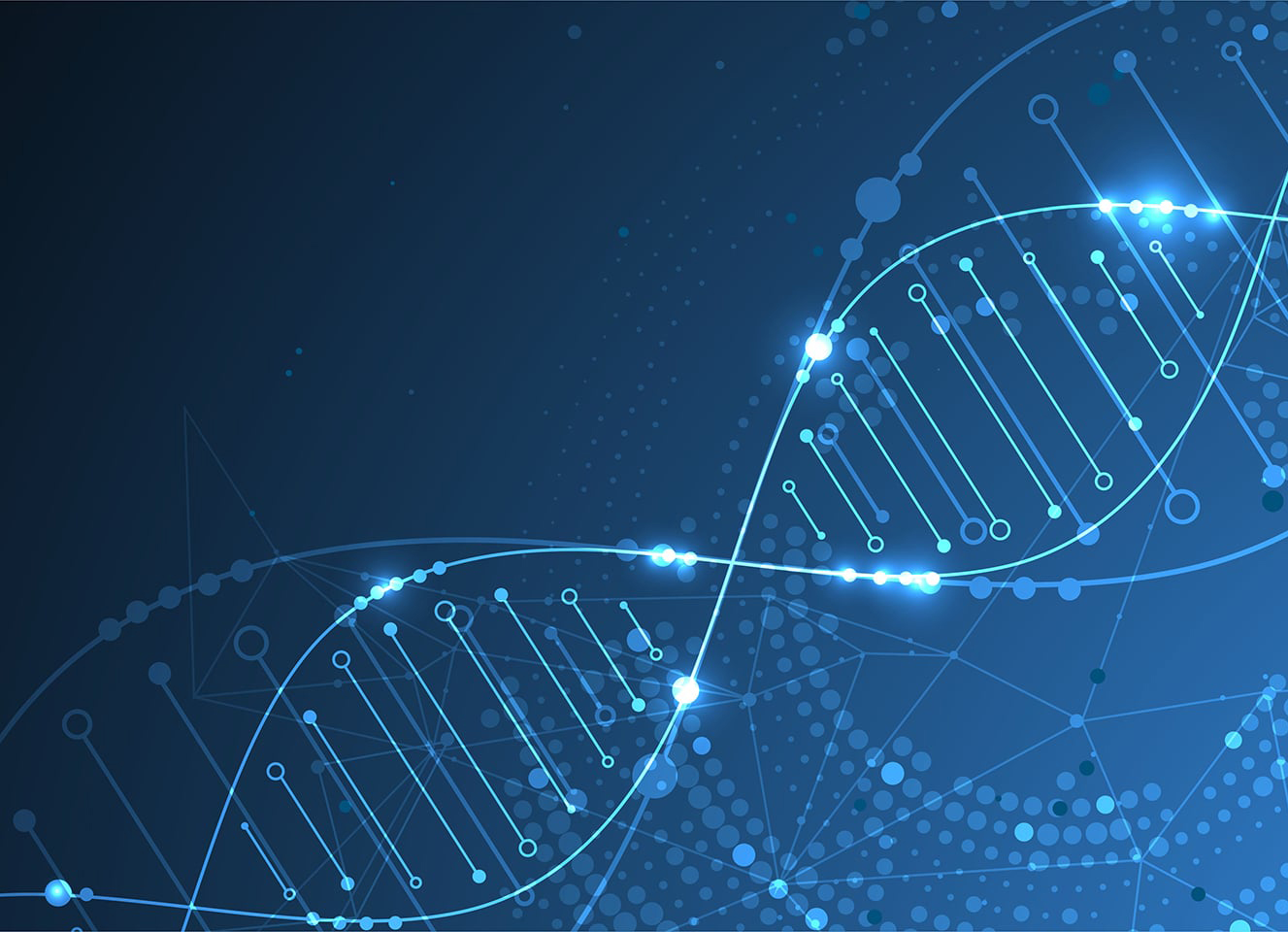 visual representation of dna