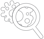 scientific focus areas