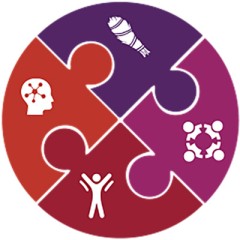 Puzzle pieces diagram showing spiritual, social, psychological and biological