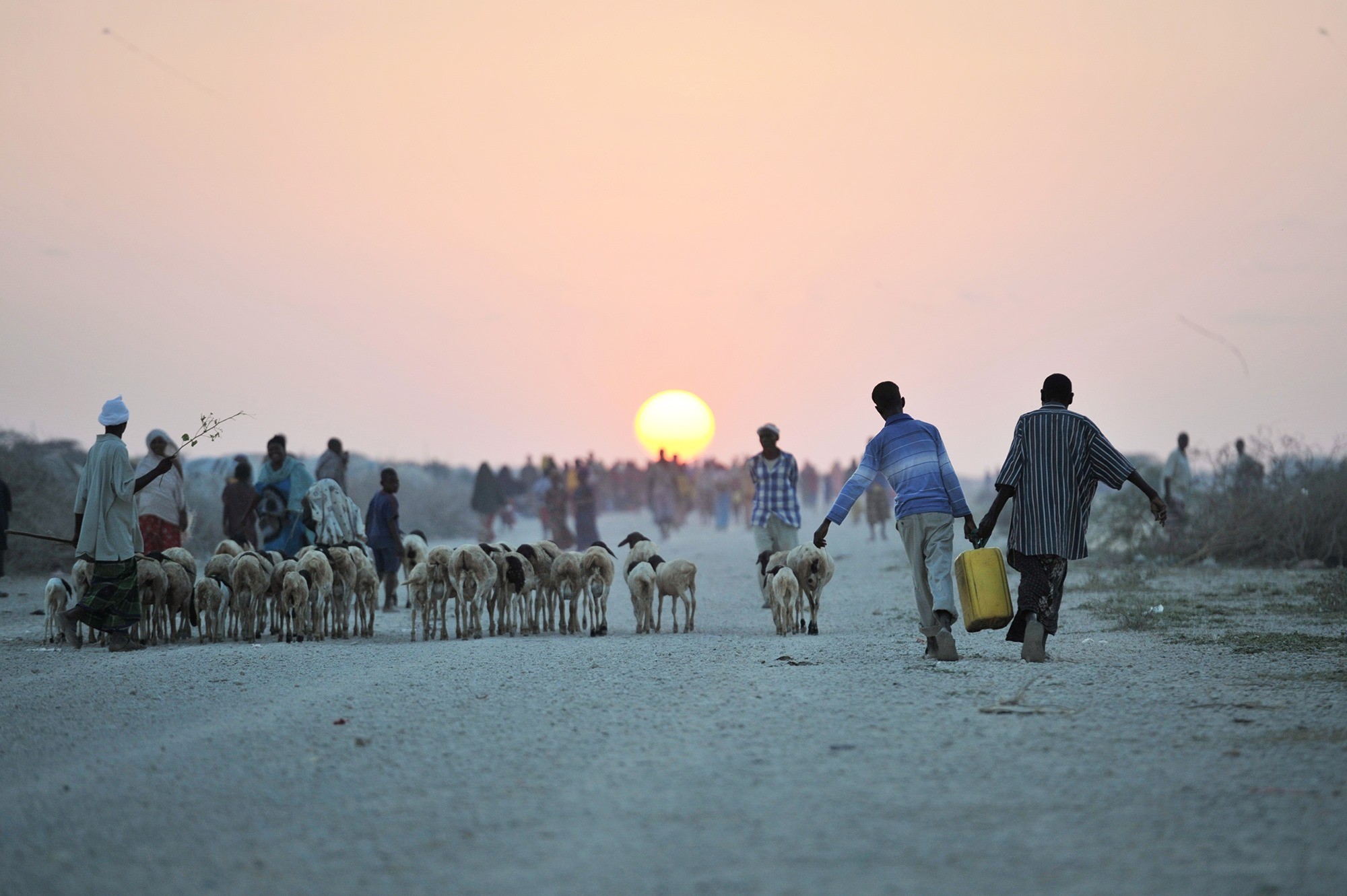 Several groups of people stretch into the distance, one with a heard of goats walking into the sunset, while two people work together to carry a heavy tank alongside.