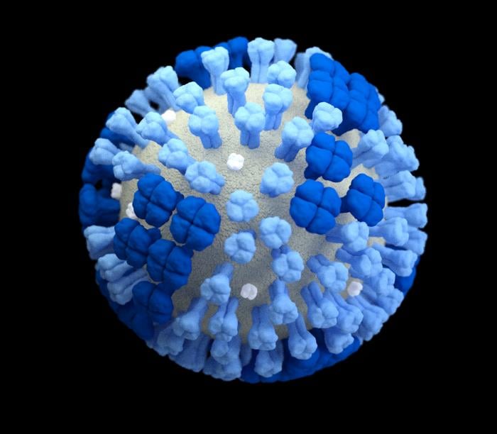 Illustration of a whole influenza virus with a light grey surface membrane and the virus’ surface proteins HA (light blue) and NA (dark blue). 