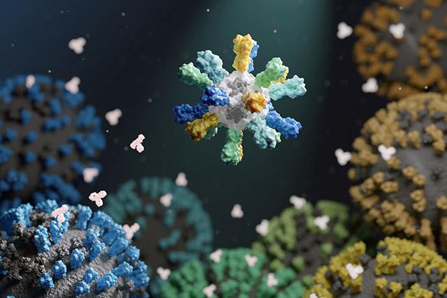 Mosaic nanoparticle vaccine