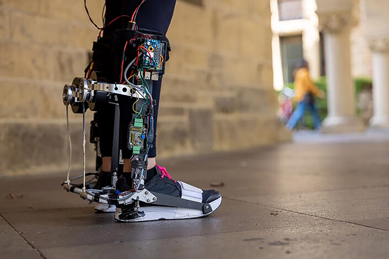 Robotic Leg