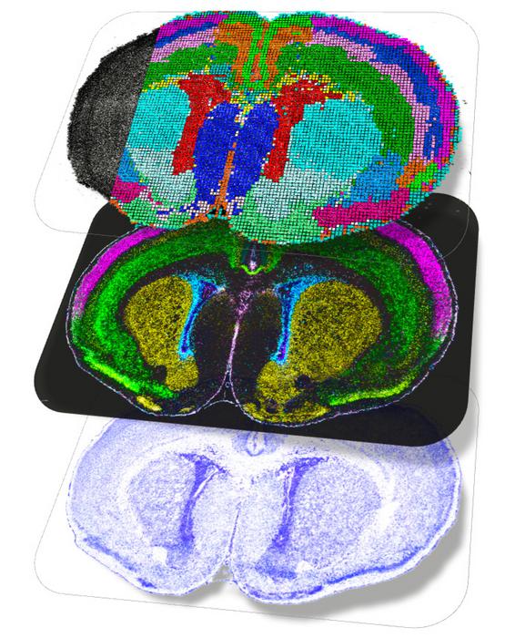 Spatial multiomics maps.