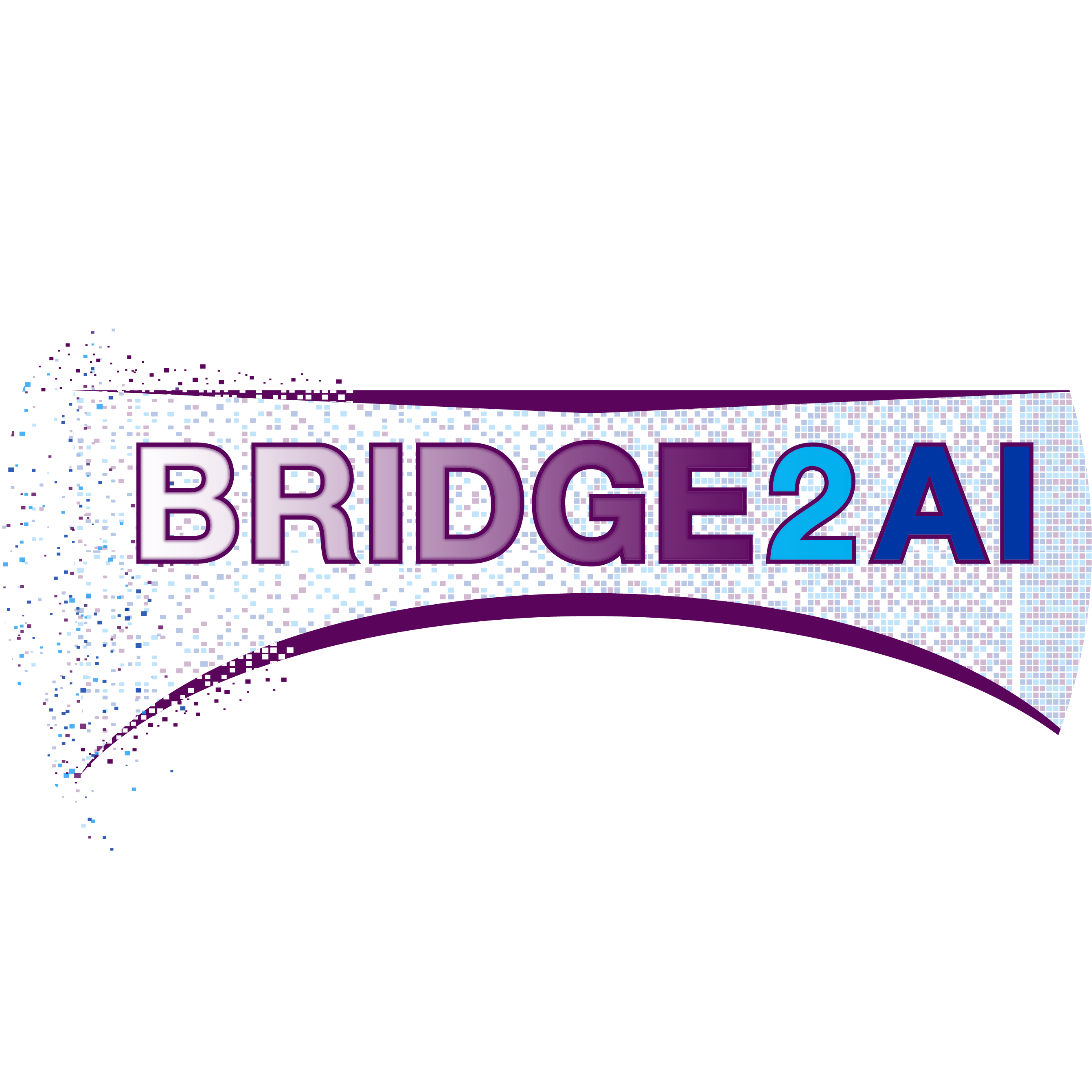 Bridge2AI graphic identity