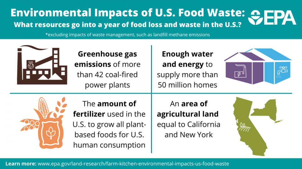 Environmental Impacts of U.S. Food Waste: What resources go into a year of food loss and waste in the U.S.?