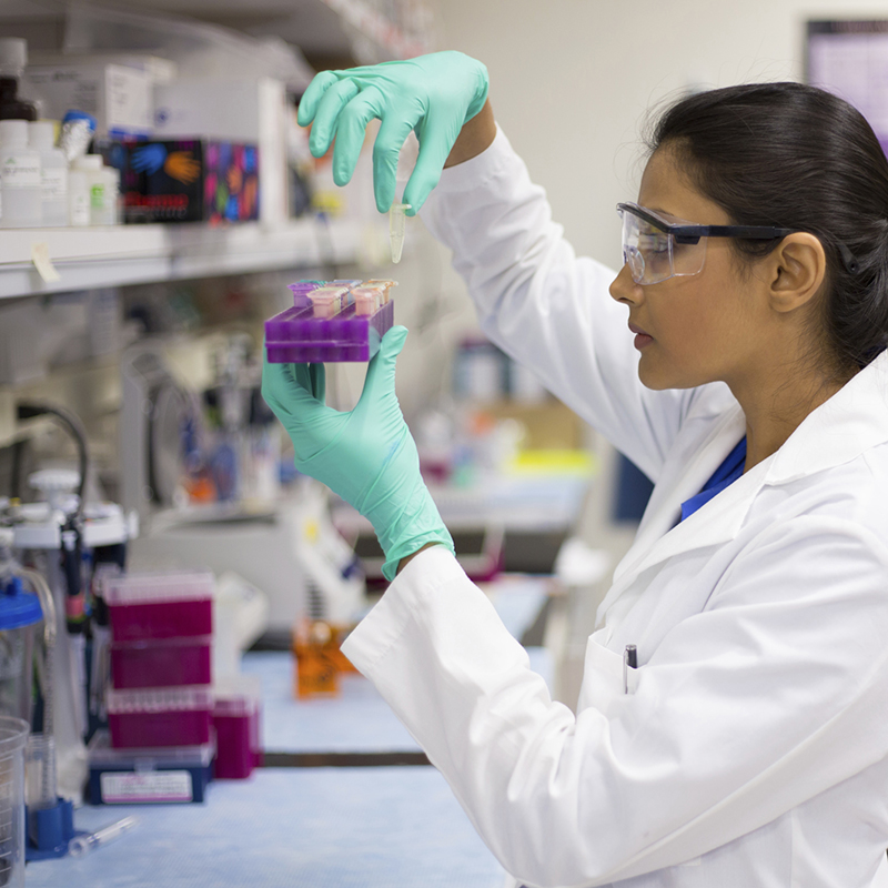 Female researcher in the laboratory
