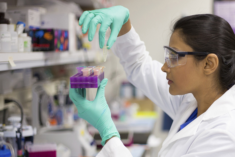 Female researcher in the laboratory