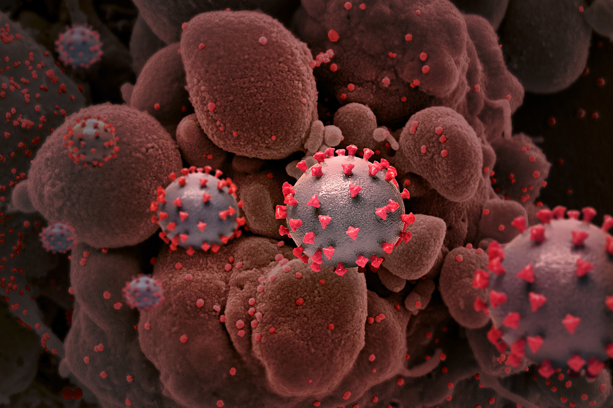 Creative rendition of SARS-COV-2 virus particles