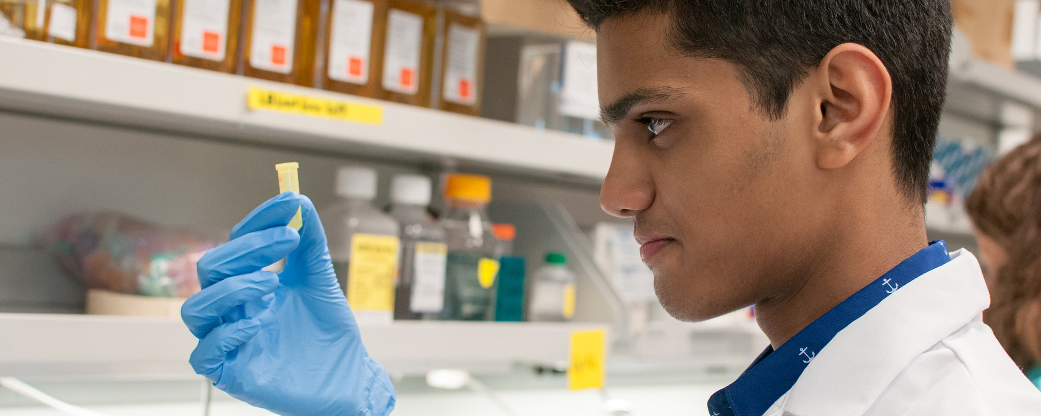 Researcher in a lab examining a specimin