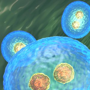 Scientific Focus Areas