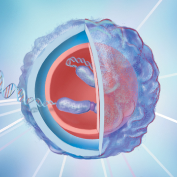 Three-dimensional illustration of a stem cell