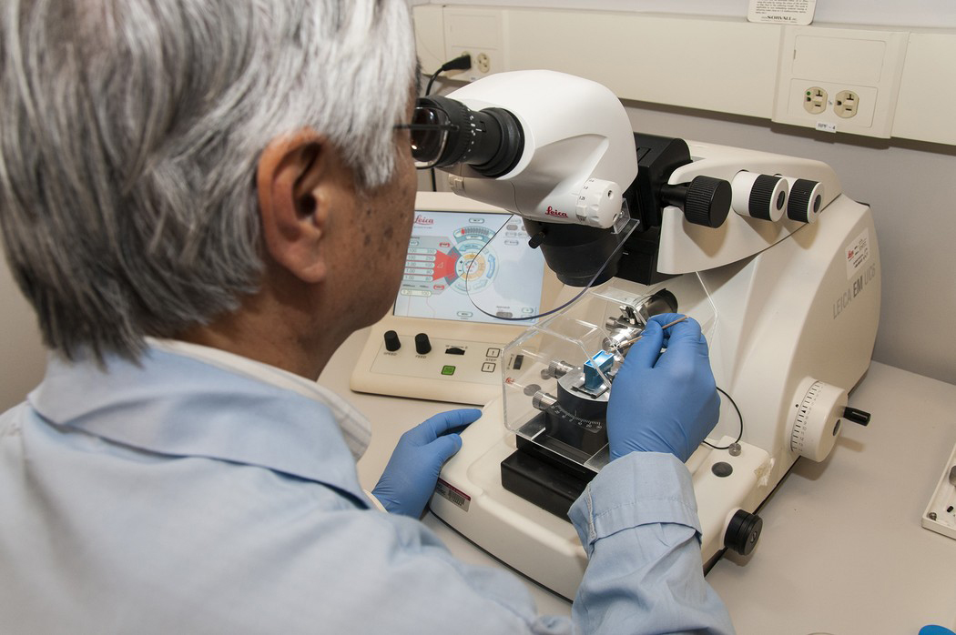 Technician using a microtome