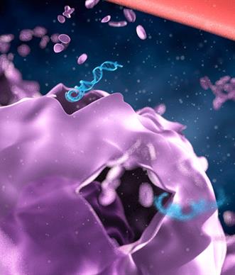 NIR-PIT animation