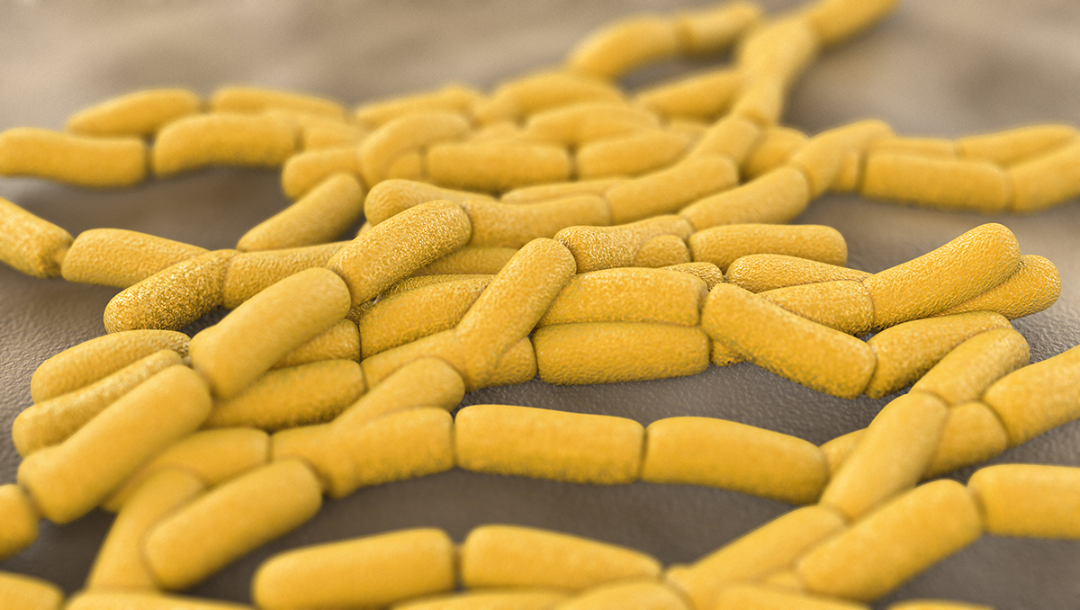 20181204-pobiotics-a.jpg