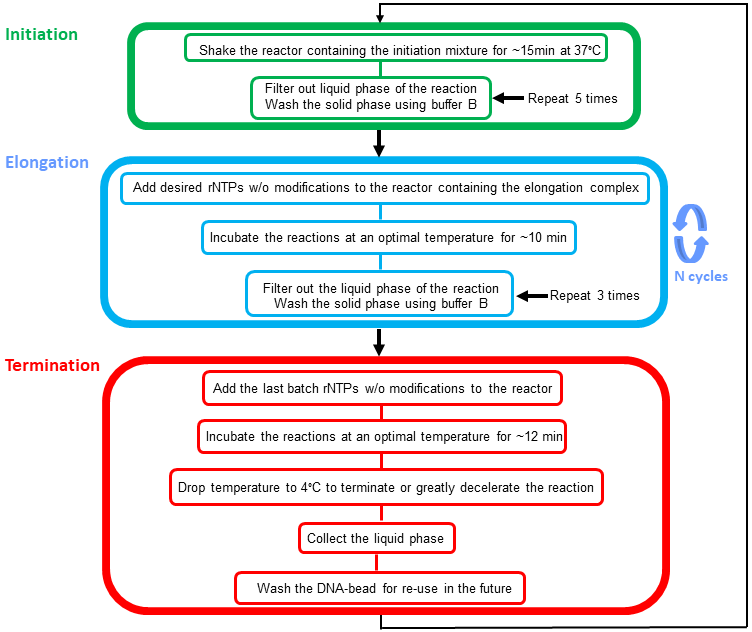 Facility for Custom Synthesis of Long RNAs with Position-Selective Labeling