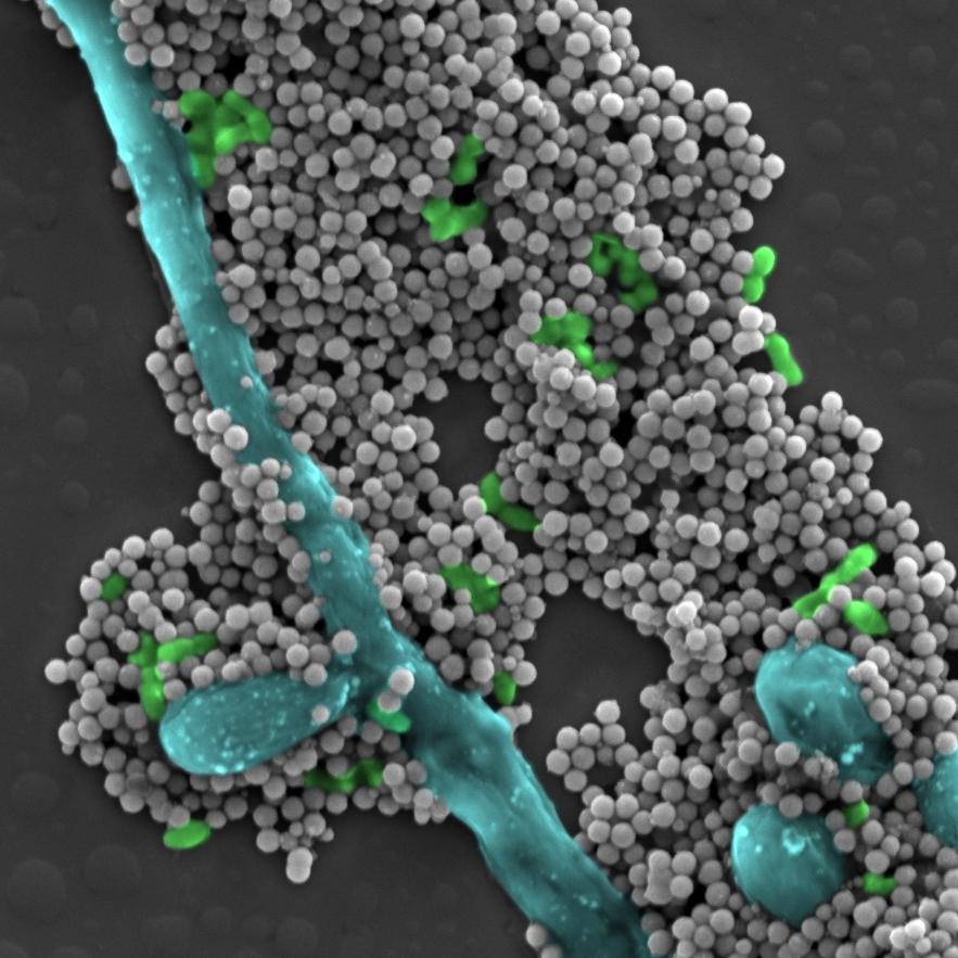 20220927-nano.jpg