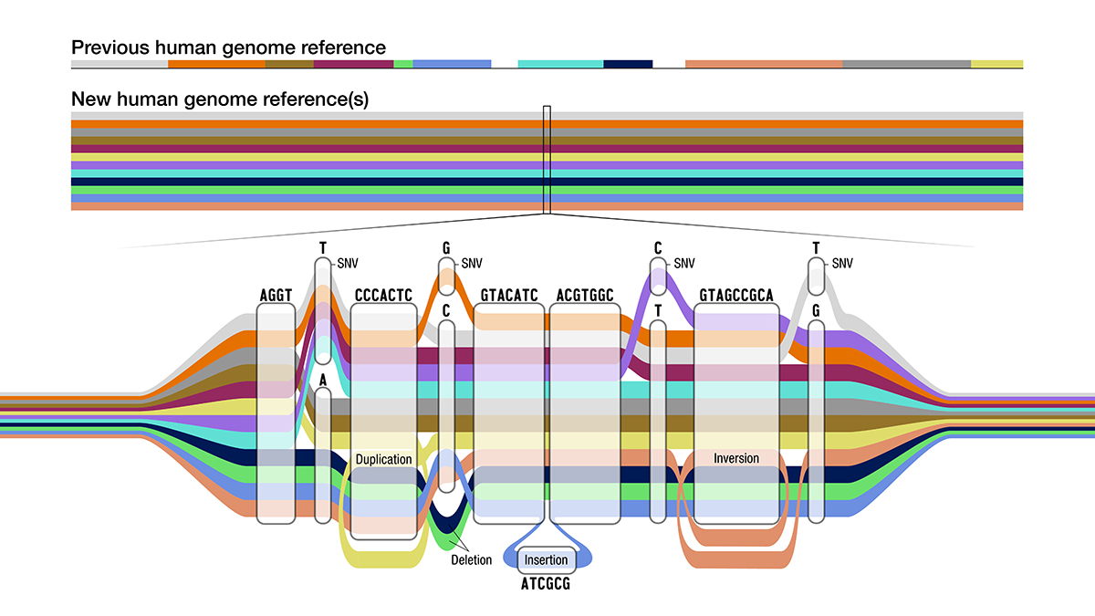 20230523-tubemap.jpg