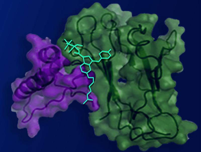 Illustration of small compound bound within cannabinoid receptor type 1.