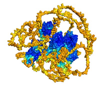 20250422-ric-3.jpg