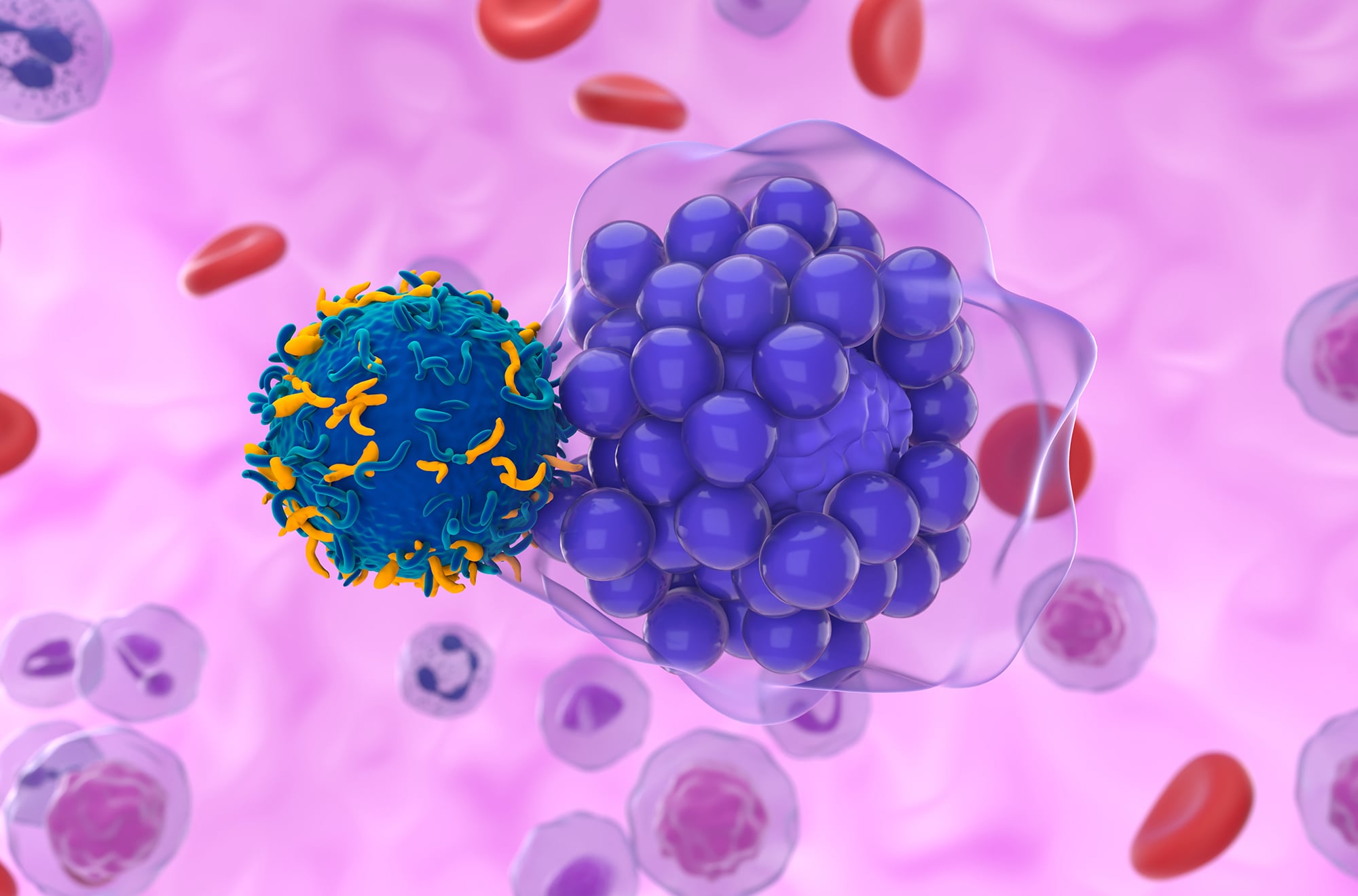 Illustration of a CAR T cell attacking a cancerous B cell.