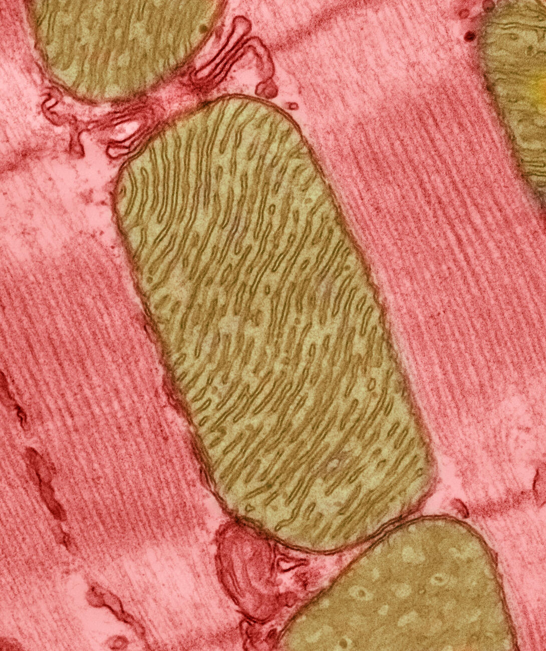 20250722-image2.jpg