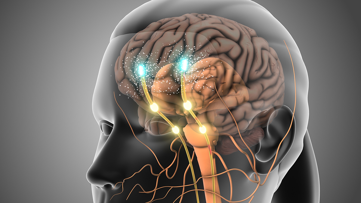 20260324-brain.jpg