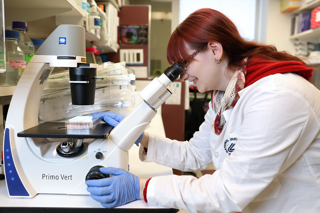 Female researcher looking in a microscope