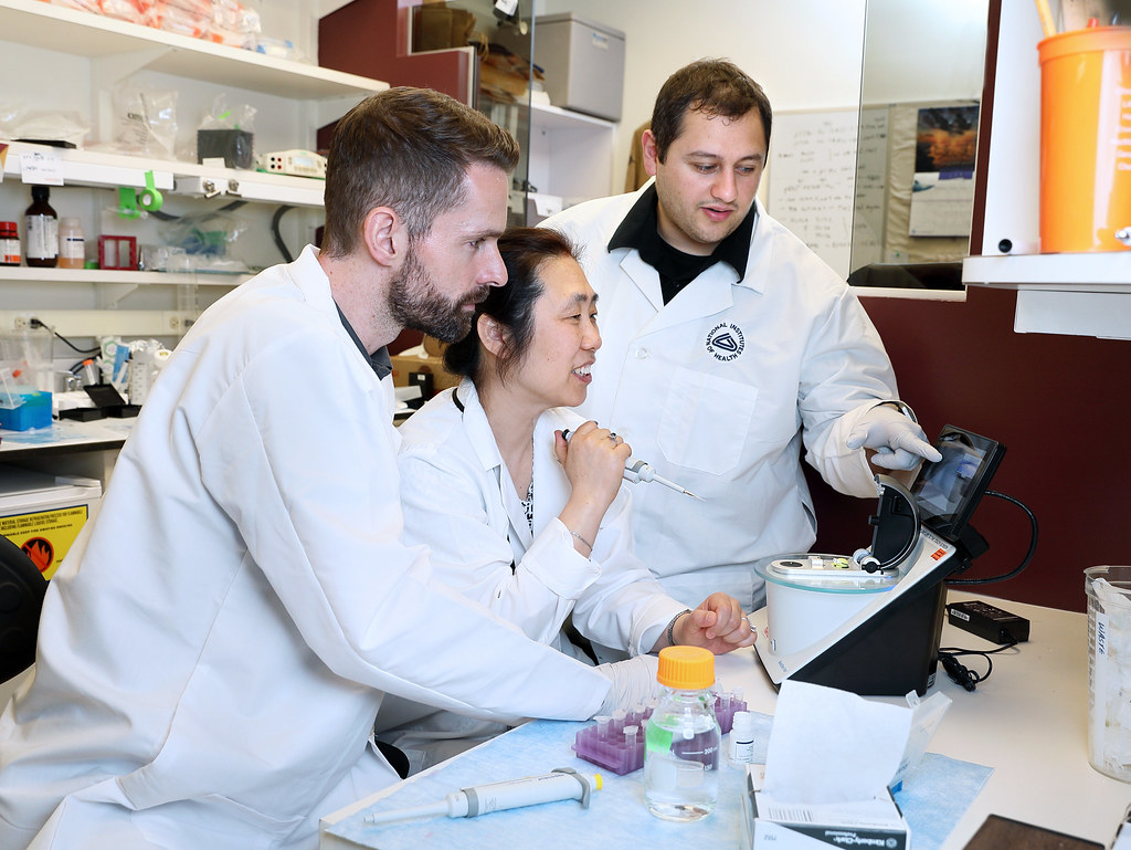Three researchers looking talking 