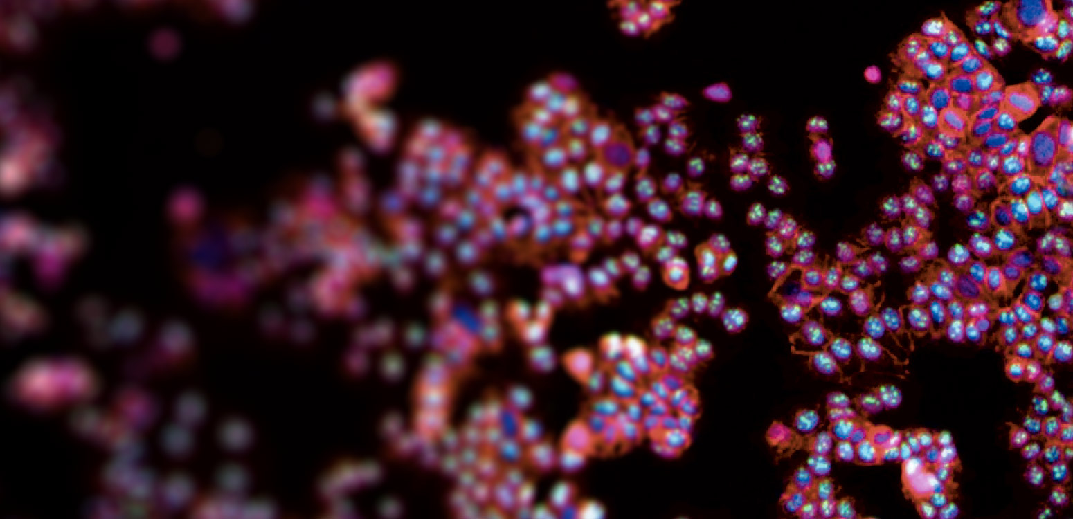 7.2.1.5.1-Cancer-Genetics-and-Comparative-Genomics-Branch-hero