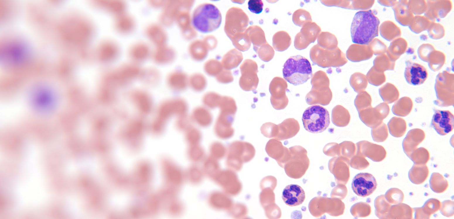 7.2.1.5.13-Translational-and-Functional-Genomics-Branch-hero