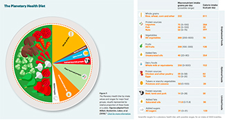 Graphic demonstrating a planetary health diet plate in which half of the plate is covered by fruits and vegetables.