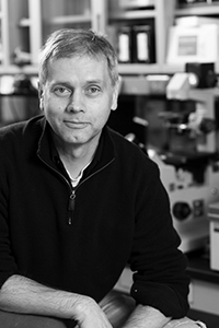 MARCO COLONNA