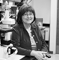 CAROL A. COLTON