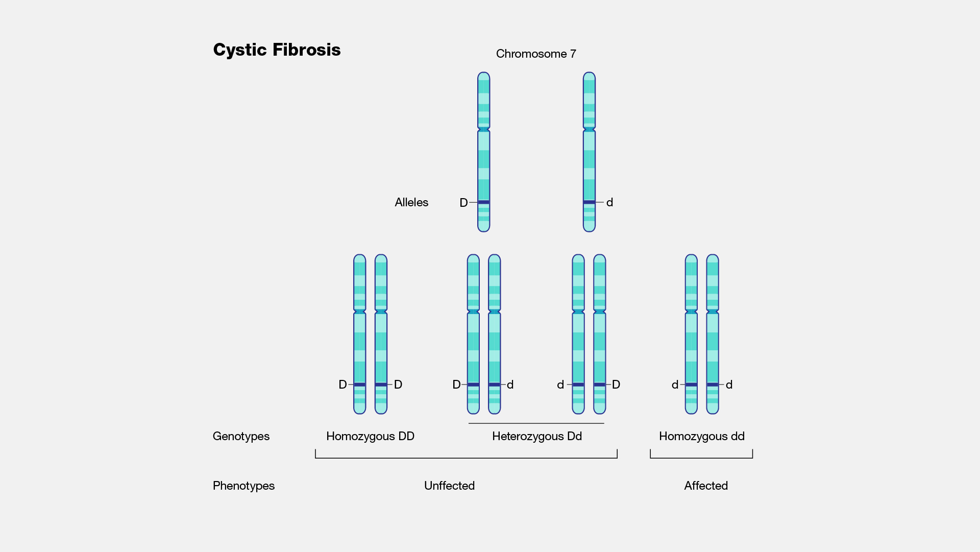Cystic-fibrosis