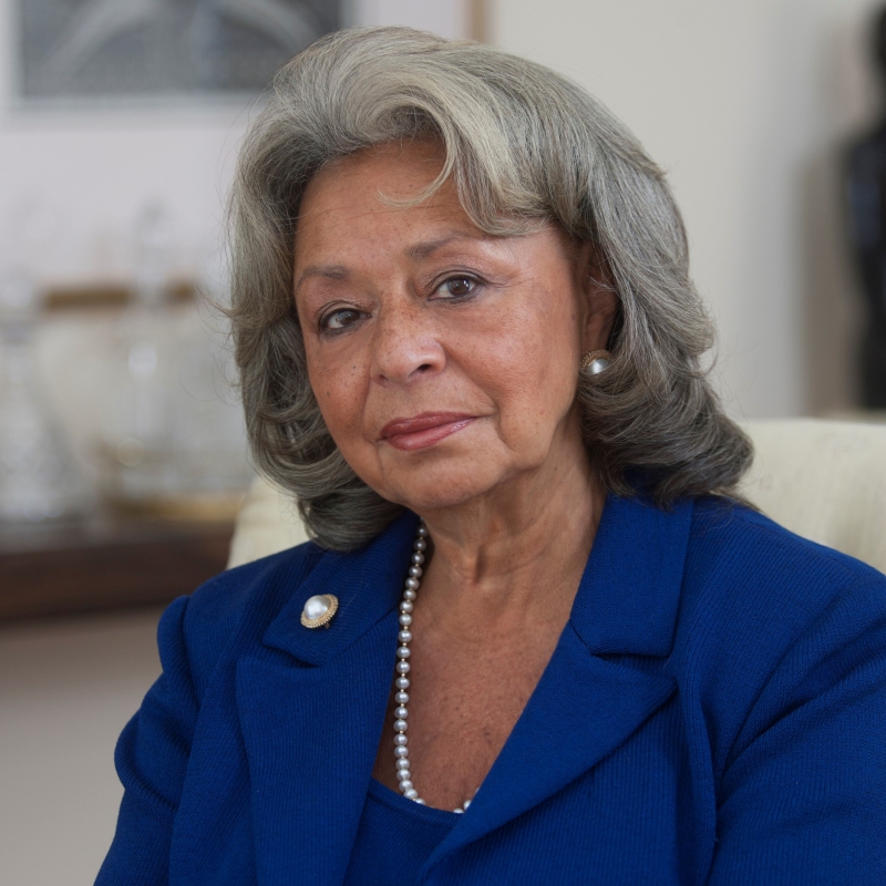 Headshot of Vivian Pinn.