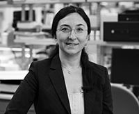 NILÜFER ERTEKIN-TANER