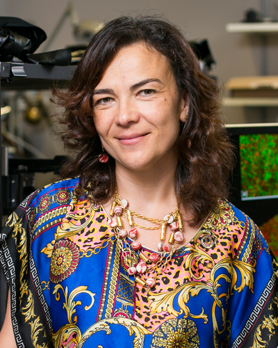 Irene Georgakoudi, Ph.D.