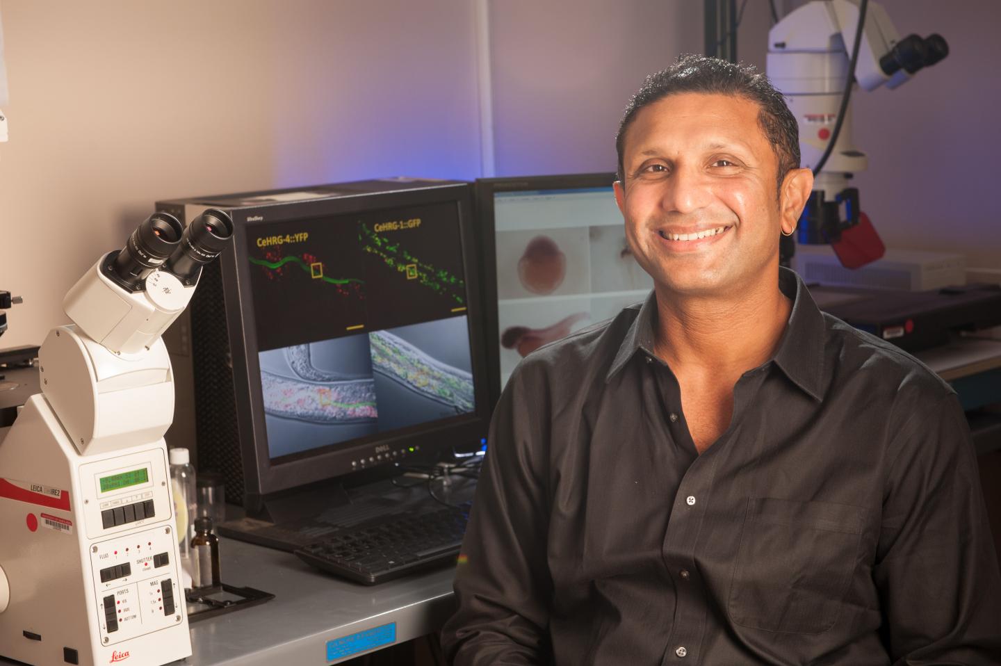 Iqbal Hamza, Ph.D.